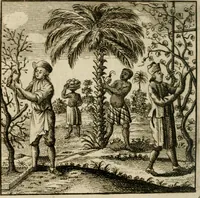 Picture 10 of 26 from Mercurialis, of, Winter-groen : dat is, Aangename en vermaakelyke geschiedenissen en gedichten, waarin verscheide zedelyke leerstukken. En een zeer ryke voorraad van Bybelsche concepten gevonden worden, voor alle bedroefde en vrolyke gemoederen, leeraars, predikers, en geestelyke persoonen; als mede voor alle byzondere leezers tot een voordeelig tydverdryf, namelyk, om vrolyk te leven en blymoedig te sterven (1763), leaf 93