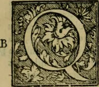 An illustration from Hieronymi Mercvrialis De arte gymnastica libri sex : in quibus exercitationum omnium vetustarum genera, loca, modi, facultates, & quidquid deniq. ad corporis humani exercitationes pertinet, diligenter explicatur .. (1573)