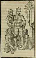 An illustration from Hieronymi Mercvrialis De arte gymnastica libri sex : in quibus exercitationum omnium vetustarum genera, loca, modi, facultates, & quidquid deniq. ad corporis humani exercitationes pertinet, diligenter explicatur .. (1573)