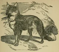 Picture 1 of 9 from Merry's book of puzzles ; Robert Merry's second book of puzzles ; Robert Merry's book of rhymes, leaf 107