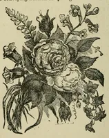 An illustration from Merry's book of puzzles ; Robert Merry's second book of puzzles ; Robert Merry's book of rhymes