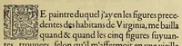 Picture 20 of 31 from Merueilleux et estrange rapport, toutesfois fidele, des commoditez qui se trouuent en Virginia, des facons des naturels habitans d'icelle, laquelle a esté nouuellement descouuerte par les Anglois que Mesire [sic] Richard Greinuile cheualier y mena en colonie lan.1585. : a la charge principale de Messire Walter Raleigh cheualier surintendant des Mines d'Estain, fauorisé par la royne d'Angleterre, et autorisé par ses lettres patentes. (1590), leaf 105