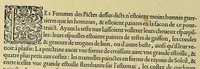 An illustration from Merueilleux et estrange rapport, toutesfois fidele, des commoditez qui se trouuent en Virginia, des facons des naturels habitans d'icelle, laquelle a esté nouuellement descouuerte par les Anglois que Mesire [sic] Richard Greinuile cheualier y mena en colonie lan.1585. : a la charge principale de Messire Walter Raleigh cheualier surintendant des Mines d'Estain, fauorisé par la royne d'Angleterre, et autorisé par ses lettres patentes. (1590)