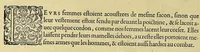 An illustration from Merueilleux et estrange rapport, toutesfois fidele, des commoditez qui se trouuent en Virginia, des facons des naturels habitans d'icelle, laquelle a esté nouuellement descouuerte par les Anglois que Mesire [sic] Richard Greinuile cheualier y mena en colonie lan.1585. : a la charge principale de Messire Walter Raleigh cheualier surintendant des Mines d'Estain, fauorisé par la royne d'Angleterre, et autorisé par ses lettres patentes. (1590)