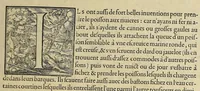 An illustration from Merueilleux et estrange rapport, toutesfois fidele, des commoditez qui se trouuent en Virginia, des facons des naturels habitans d'icelle, laquelle a esté nouuellement descouuerte par les Anglois que Mesire [sic] Richard Greinuile cheualier y mena en colonie lan.1585. : a la charge principale de Messire Walter Raleigh cheualier surintendant des Mines d'Estain, fauorisé par la royne d'Angleterre, et autorisé par ses lettres patentes. (1590)
