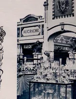 Picture 4 of 7 from Les merveilles de l'Exposition : album-souvenir = Gedenk-album (1910), leaf 33