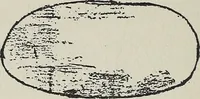An illustration from The message of Anne Simon (1920)