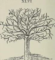 Picture 8 of 10 from The message of Anne Simon (1920), leaf 107
