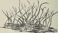 Picture 9 of 10 from The message of Anne Simon (1920), leaf 111