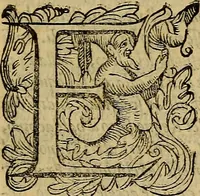 An illustration from Messina, città nobilissima : descritta in VIII. libri (1606)
