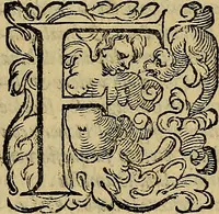 An illustration from Messina, città nobilissima : descritta in VIII. libri (1606)