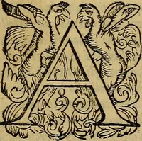 An illustration from Messina, città nobilissima : descritta in VIII. libri (1606)
