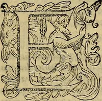 An illustration from Messina, città nobilissima : descritta in VIII. libri (1606)
