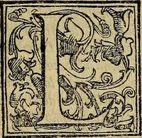An illustration from Messina, città nobilissima : descritta in VIII. libri (1606)