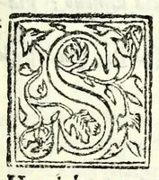 Picture 4 of 4 from Mestola : comedia (1583), leaf 19