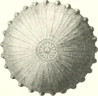 An illustration from Metallgefässe (1901)