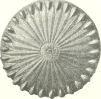 An illustration from Metallgefässe (1901)