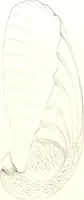 An illustration from Metallgefässe (1901)