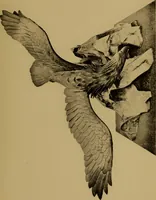 An illustration from Metals and metal-working in old Japan (1915)