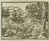 An illustration from Metamorphoses Ovidii : argvmentis quidem soluta oratione, enarrationibus autem & allegoriis elegiaco versu accuratissimè expositae, summaq[ue] diligentia ac studio illustratae (1583)