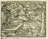 Picture 10 of 35 from Metamorphoses Ovidii : argvmentis quidem soluta oratione, enarrationibus autem & allegoriis elegiaco versu accuratissimè expositae, summaq[ue] diligentia ac studio illustratae (1583), leaf 111
