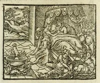 Picture 17 of 35 from Metamorphoses Ovidii : argvmentis quidem soluta oratione, enarrationibus autem & allegoriis elegiaco versu accuratissimè expositae, summaq[ue] diligentia ac studio illustratae (1583), leaf 179