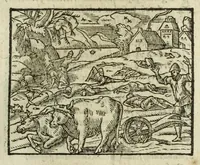 An illustration from Metamorphoses Ovidii : argvmentis quidem soluta oratione, enarrationibus autem & allegoriis elegiaco versu accuratissimè expositae, summaq[ue] diligentia ac studio illustratae (1583)