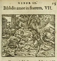 Picture 23 of 35 from Metamorphoses Ovidii : argvmentis quidem soluta oratione, enarrationibus autem & allegoriis elegiaco versu accuratissimè expositae, summaq[ue] diligentia ac studio illustratae (1583), leaf 245