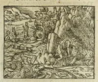 Picture 27 of 35 from Metamorphoses Ovidii : argvmentis quidem soluta oratione, enarrationibus autem & allegoriis elegiaco versu accuratissimè expositae, summaq[ue] diligentia ac studio illustratae (1583), leaf 295
