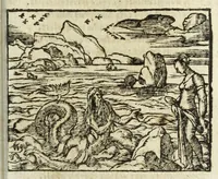 An illustration from Metamorphoses Ovidii : argvmentis quidem soluta oratione, enarrationibus autem & allegoriis elegiaco versu accuratissimè expositae, summaq[ue] diligentia ac studio illustratae (1583)