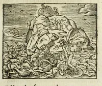 Picture 3 of 35 from Metamorphoses Ovidii : argvmentis quidem soluta oratione, enarrationibus autem & allegoriis elegiaco versu accuratissimè expositae, summaq[ue] diligentia ac studio illustratae (1583), leaf 39