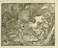 Picture 4 of 35 from Metamorphoses Ovidii : argvmentis quidem soluta oratione, enarrationibus autem & allegoriis elegiaco versu accuratissimè expositae, summaq[ue] diligentia ac studio illustratae (1583), leaf 49