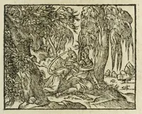 An illustration from Metamorphoses Ovidii : argvmentis quidem soluta oratione, enarrationibus autem & allegoriis elegiaco versu accuratissimè expositae, summaq[ue] diligentia ac studio illustratae (1583)