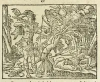 An illustration from Metamorphoses Ovidii : argvmentis quidem soluta oratione, enarrationibus autem & allegoriis elegiaco versu accuratissimè expositae, summaq[ue] diligentia ac studio illustratae (1583)