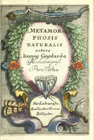 Picture 1 of 2 from Metamorphosis naturalis, ofte Historische beschryvinghe van den oirspronk, aerd, eygenschappen ende vreemde veranderinghen der wormen, rupsen, maeden, vliegen, witjens, byen, motten ende dierghelijcke dierkens meer; niet uyt eenighe boecken, maer alleenelijck door eygen ervarentheyd uytgevonden, beschreven, en na da konst afgeteyckent (1662), leaf 5