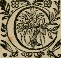 An illustration from Metaneacarpie; ov Des frvicts de la penitence: qui sont, l'oraison, l'aumosne, & le Ieusne. Homelies preschées à Paris ... de l'an 1618 .. (1620)