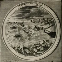 Picture 73 of 90 from Meteorologia philosophico-politica : in duodecim dissertationes per quæstiones meteorologicas et conclusiones politicas divisa, appositisque symbolis illustrata ... (1709), leaf 235