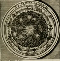 Picture 77 of 90 from Meteorologia philosophico-politica : in duodecim dissertationes per quæstiones meteorologicas et conclusiones politicas divisa, appositisque symbolis illustrata ... (1709), leaf 252