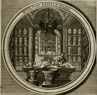 Picture 80 of 90 from Meteorologia philosophico-politica : in duodecim dissertationes per quæstiones meteorologicas et conclusiones politicas divisa, appositisque symbolis illustrata ... (1709), leaf 264