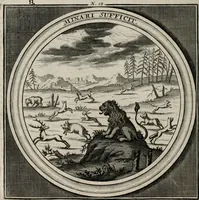Picture 19 of 90 from Meteorologia philosophico-politica : in duodecim dissertationes per quæstiones meteorologicas et conclusiones politicas divisa, appositisque symbolis illustrata ... (1709), leaf 47