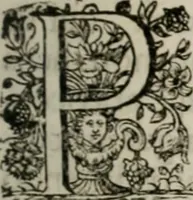 Picture 4 of 90 from Meteorologia philosophico-politica : in duodecim dissertationes per quæstiones meteorologicas et conclusiones politicas divisa, appositisque symbolis illustrata ... (1709), leaf 8