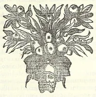 An illustration from Methodo lusitanico de desenhar as fortificaçoens das praças regulares & irregulares : fortes de campanha, e outras obras pertencentes a architectura militar, distribuido em duas partes operativa e qualificativa (1680)