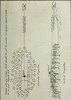 Picture 29 of 46 from The methods used in primary level and triangulation work in unsettled and broken country (1909), leaf 226