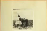 Picture 35 of 46 from The methods used in primary level and triangulation work in unsettled and broken country (1909), leaf 254