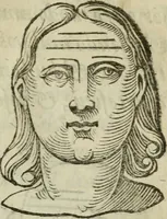 Picture 25 of 43 from La metoposcopia, ouero, Com[m]ensuratione delle linee della fronte : trattato (1626), leaf 102