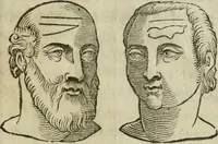 Picture 33 of 43 from La metoposcopia, ouero, Com[m]ensuratione delle linee della fronte : trattato (1626), leaf 114