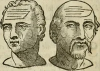 Picture 35 of 43 from La metoposcopia, ouero, Com[m]ensuratione delle linee della fronte : trattato (1626), leaf 117
