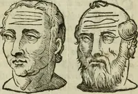 An illustration from La metoposcopia, ouero, Com[m]ensuratione delle linee della fronte : trattato (1626)