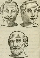An illustration from La metoposcopia, ouero, Com[m]ensuratione delle linee della fronte : trattato (1626)