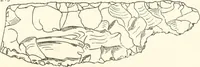 An illustration from Meydum and Memphis (III) (1910)